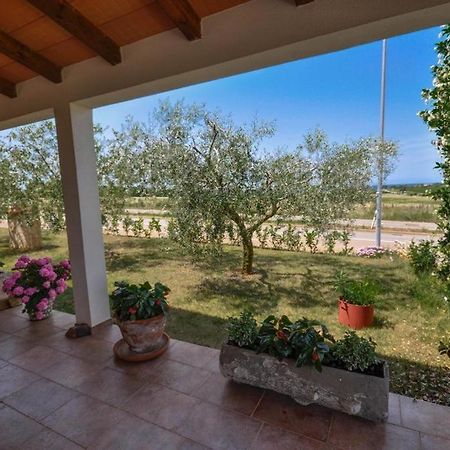 Angela Apartamento Novigrad Istria Exterior foto