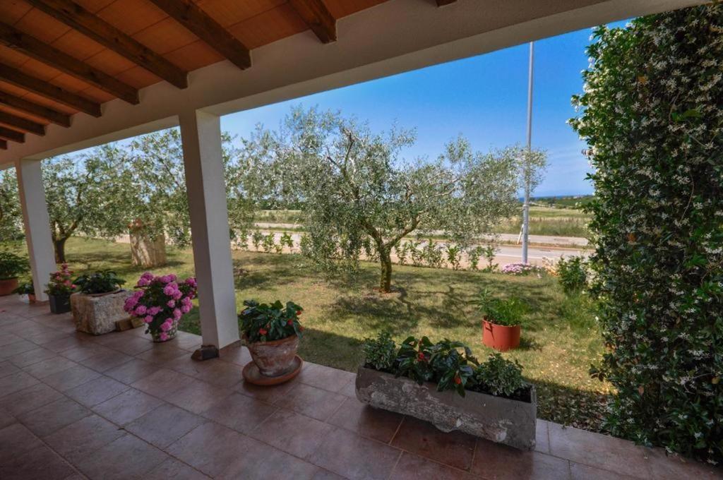 Angela Apartamento Novigrad Istria Exterior foto