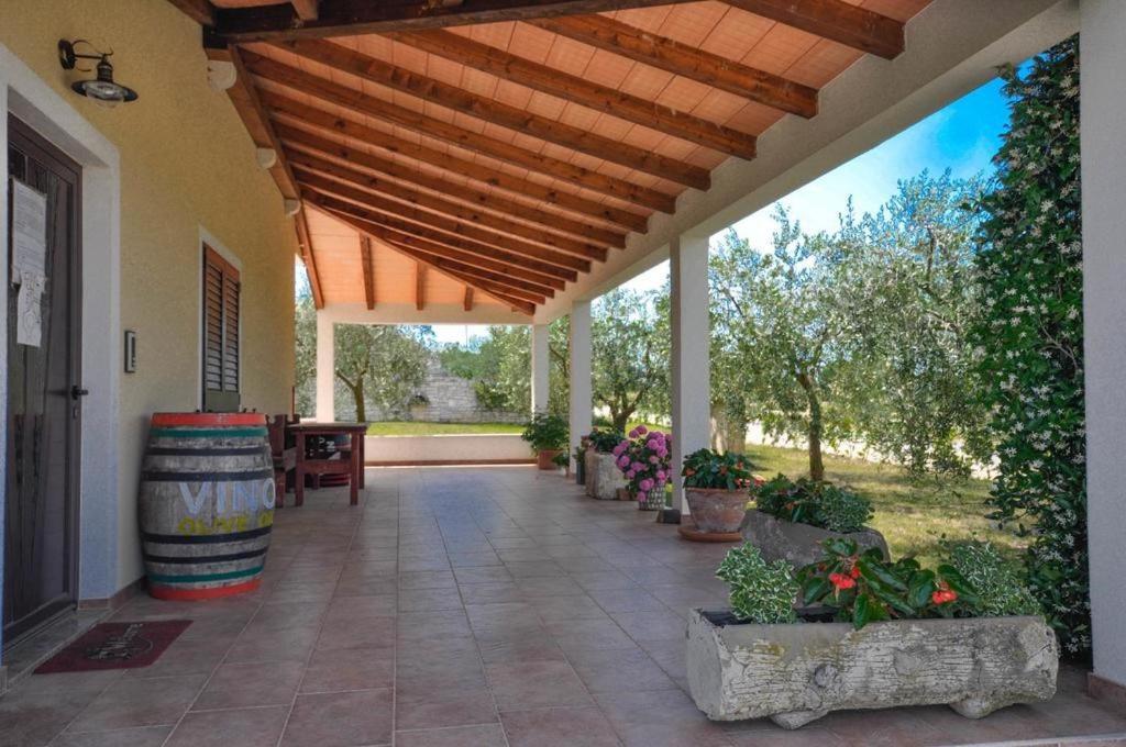 Angela Apartamento Novigrad Istria Exterior foto