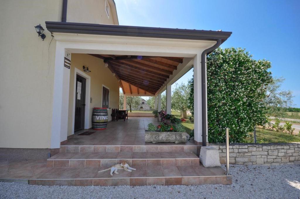 Angela Apartamento Novigrad Istria Exterior foto