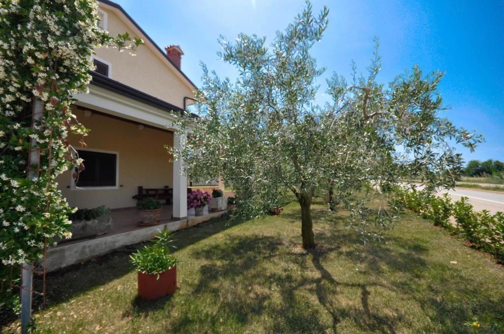 Angela Apartamento Novigrad Istria Exterior foto
